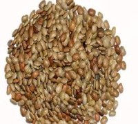 Manja Hulga 500