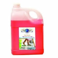 Swan Flo Cln 5 Ltr