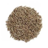 Jeera 50 Gm