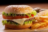 Plain Paneer Cheese Burger