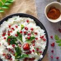 Curd Rice