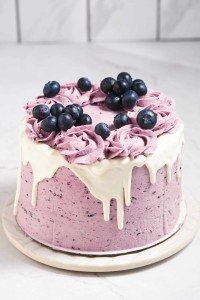premium blueberry