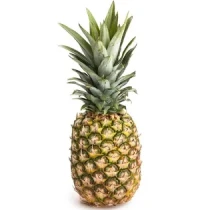 Pineapple-1piece(1kg).